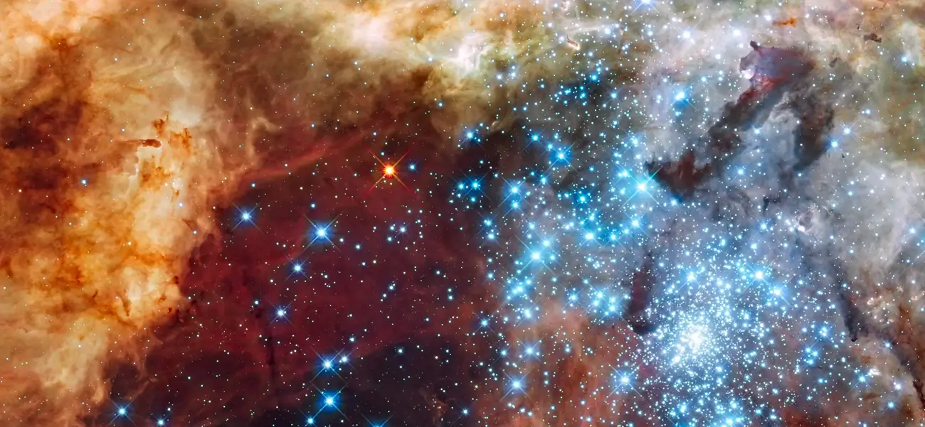 Nébuleuse de la Tarentule, région de formation d'étoiles